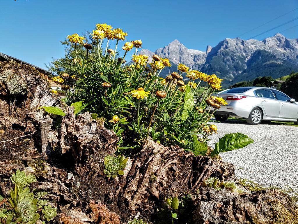 Biobauernhof Stegerbauer Leilighet Maria Alm am Steinernen Meer Eksteriør bilde