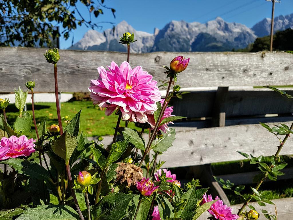 Biobauernhof Stegerbauer Leilighet Maria Alm am Steinernen Meer Eksteriør bilde