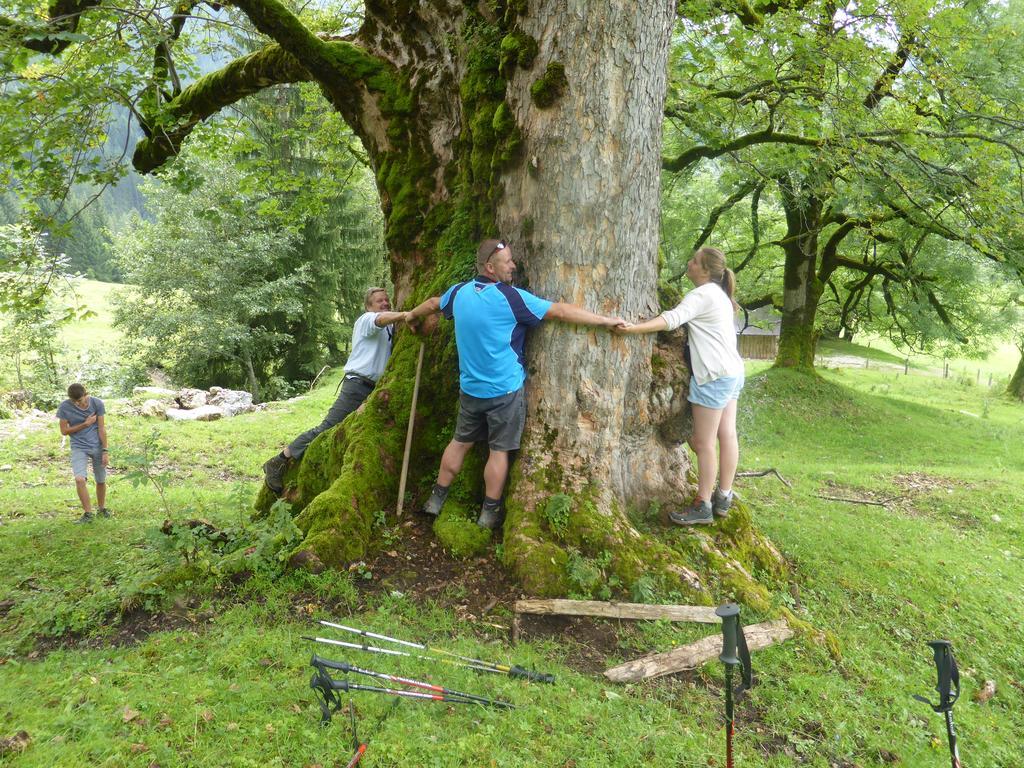 Biobauernhof Stegerbauer Leilighet Maria Alm am Steinernen Meer Eksteriør bilde