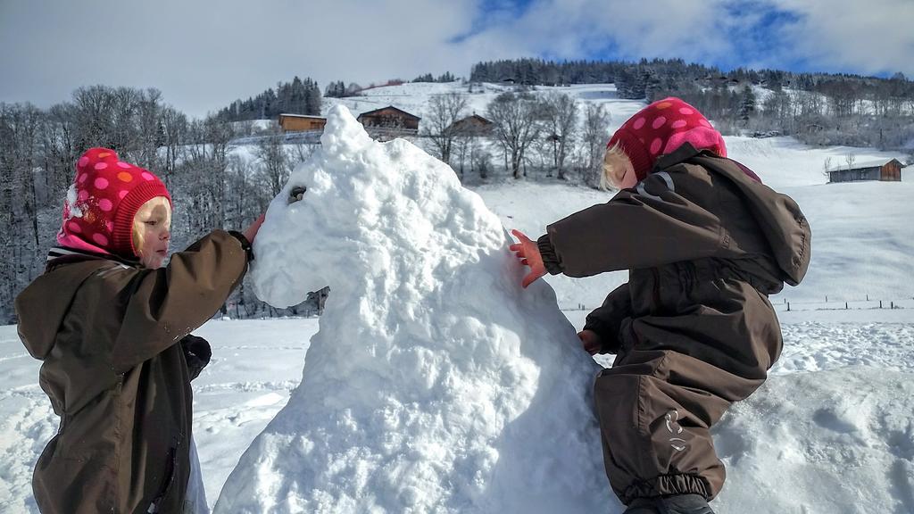 Biobauernhof Stegerbauer Leilighet Maria Alm am Steinernen Meer Eksteriør bilde